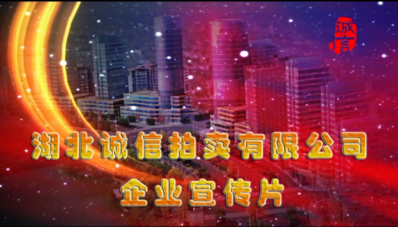 湖北j9九游会官方网站拍卖宣传片